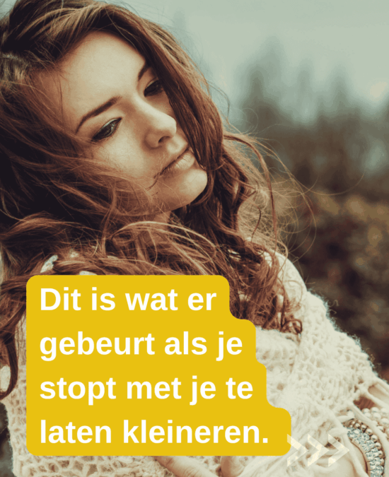 kleineren